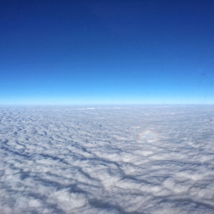 《做爰俱乐部》,
